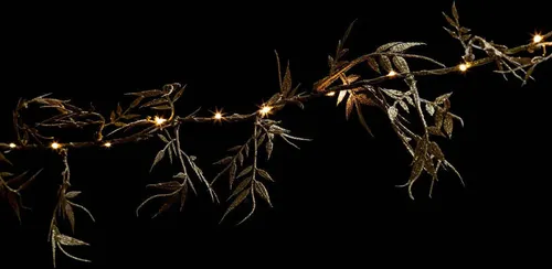 Lichterkette für Innenbereich mit Pflanzenmotiv in gold von Fééric Lights and Christmas