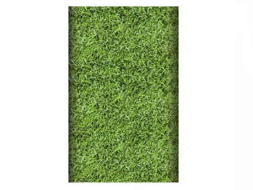 Tischdecke Papier 120 cm x 180 cm Football Fußball lackiert Rasen grün Kinder 1