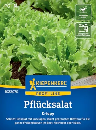 Kiepenkerl Profi-Line Pflücksalatsamen Crispy 1022070 von Kiepenkerl
