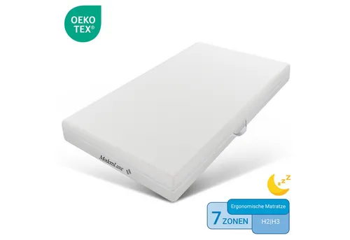 Komfortschaummatratze Kaltschaum 20 cm Hoch H3 90-180 cm Griff Bezug waschbar Reißverschluss, Odikalo