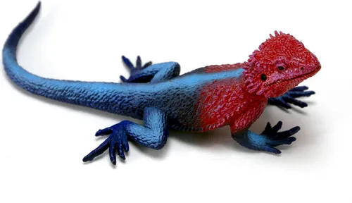 Safari Ltd S101081 - Felsenagame - Neuheit 2022