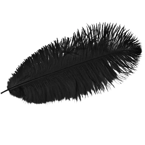Deko Straußenfedern Schwarz 38-40cm 2 Stück - Vogelfedern zum Dekorieren,