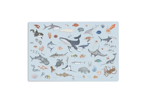 scriptum Schreibtischunterlage für Kinder – „Ocean Animals“ – 60 x 40 cm - Robuste Schreibtischunterlage mit faszinierenden Meerestieren – ideal für kreative Lernumgebungen. Abwischbar, rutschfest und langlebig. Perfekt für Schule und Kinderzimmer!