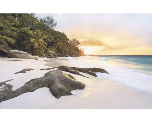 Komar Vliestapete Digitaldruck Nature von Komar