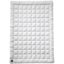 Billerbeck Sommerdecke Sari Superlight, 135x200 cm - Leichte Sommerdecke aus 100% Seide, ideal für Hausstauballergiker, mit feuchtigkeitsregulierendem Baumwollbezug für optimalen Temperaturausgleich.
