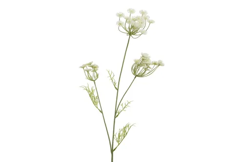 Queen Anne Zweig Dekozweig Kunstzweig Kunstblume weiß