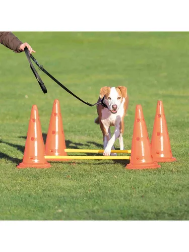 Hundetraining Pylon-Hindernisset (4 Pylonen von Trixie