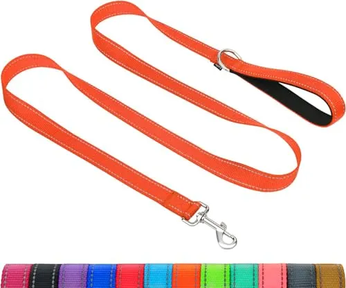 Taglory Hundeleine mit gepolsterter Handschlaufe, Reflektierende Führleine für kleine, mittlere und große Hunde sowie Welpen, Aus reißfestem Nylon für tägliche Spaziergänge, Orange
