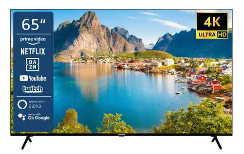 Telefunken XU65SN660S 65 Zoll Fernseher Smart TV 4K UHD Triple-Tuner gebraucht