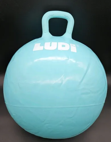 Ludi Blauer Hopper Ball Hüpfball für Kinder ab 5 Jahren Sommer Spielzeug o. OVP