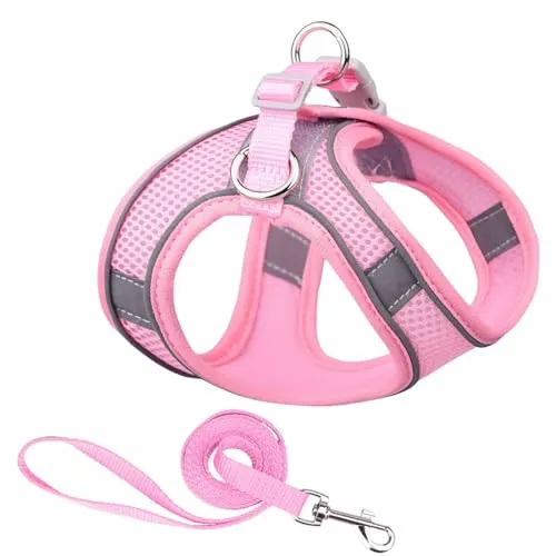 Monkimau Atmungsaktives Hundegeschirr mit Leine | Mesh und Nylon | Ideal für kleine Hunde und Katzen | Größe XXS bis L (Pink, L)