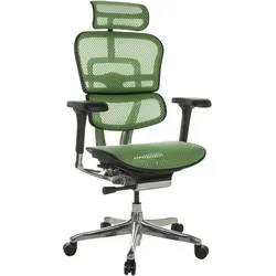hjh OFFICE ERGOHUMAN GEN2 Bürostuhl - Ergonomischer Bürosessel mit flexibler Lordosenstütze und robustem Aluminiumrahmen, ideal für 24h Einsatz. Maximale Anpassungsfähigkeit für höchsten Komfort beim Arbeiten oder Gamen.