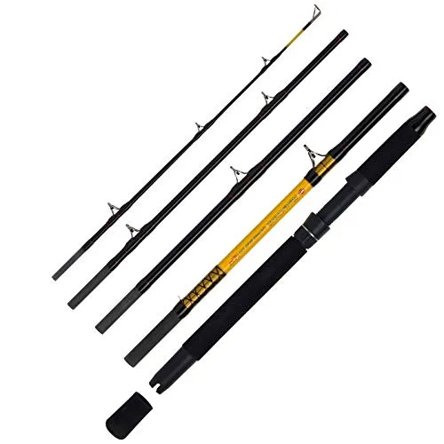 WFT Never Crack Big Cat 5tlg. 200-1000g 2,60m - Hochseeruten - Leistungsstarke Wels-Reiserute mit kompromisslosem Rückgrat und sensibler Spitze, ideal für das gezielte Angeln auf große Welse.