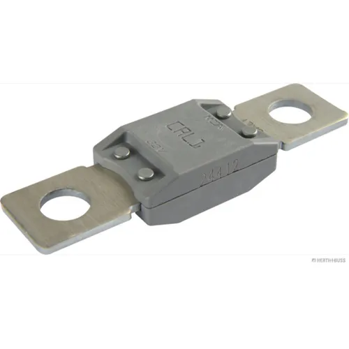 Sicherung HERTH+BUSS ELPARTS 50295841