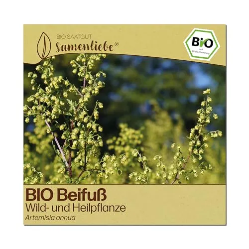 Samenliebe BIO Beifuß Samen | Gemeiner Beifuß in gelb von Samenliebe