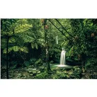 Komar Vliestapete Digitaldruck - My Hidden Treasure, 400 x 250 cm - Fototapete in grün mit Waldmotiv, dimensionsstabil und leicht zu verarbeiten – ideal für Wohnzimmer und Schlafzimmer.