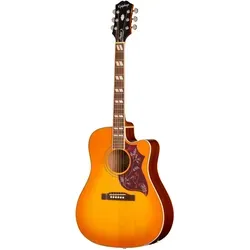 Hummingbird Studio EC HCS