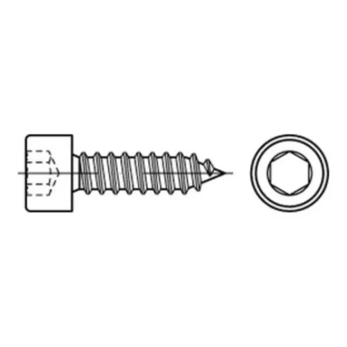 Reyher  Zyl.-Blechschrauben 5,5x16 -C, Kopf DIN 912 A2 (200 Stück)