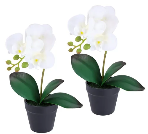 Kunstorchidee Orchidee im Topf 2er Set, I.GE.A., Höhe 30 cm, Künstliche Phalaenopsis 30cm Real Touch Blume Kunstblume Seidenblume