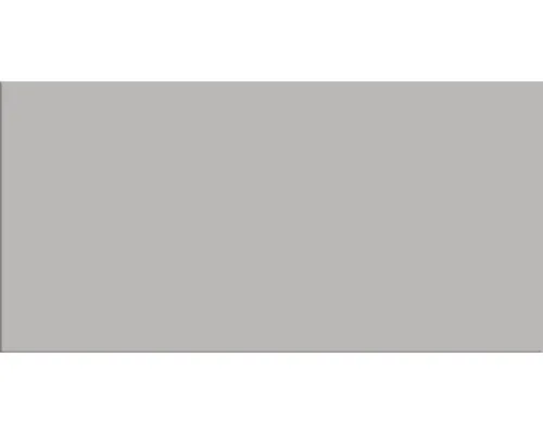 Metrofliese Trend 7,5 x 15 cm grau glänzend in grau von Weitere