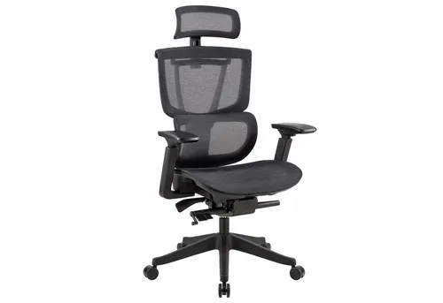 FLEXISPOT Ergonomischer Bürostuhl C7B-AIR in schwarz von FlexiSpot
