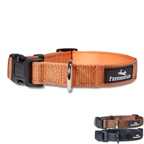 FREUDENTIER Hundehalsband - weich gepolstert mit Neopren, reflektierend & robust - Halsband Hund für kleine, mittelgroße & große Hunde (Sunset Orange, 40-65CM)