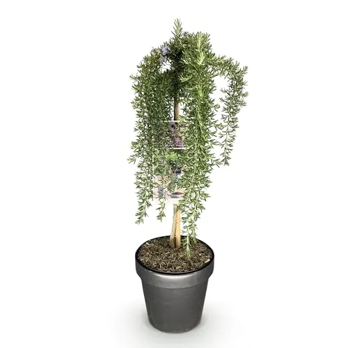 GreenboutiQ in blau von Green boutiQ