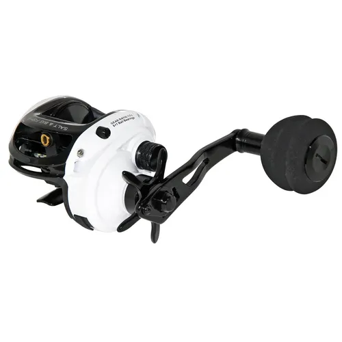 Produktbild WFT Rolle Salt & Big Fish 2 Linkshandrolle