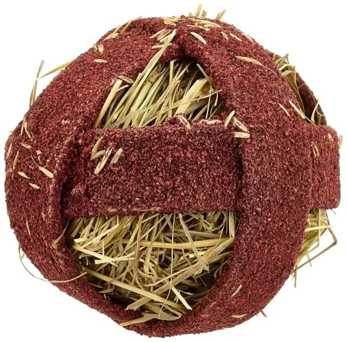 Quiko Fitness Foodball Rote Beete 100g - Snack und Spielspaß für alle Nager