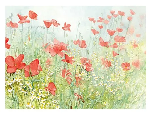 AVA Platzset, Tischsets aus Papier 43x30cm Mohnblumen Motiv 50 Stück Grün / Bunt