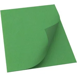 Renz Deckblätter A4, Lederkarton, grün, 250 g/m², 100 Stück