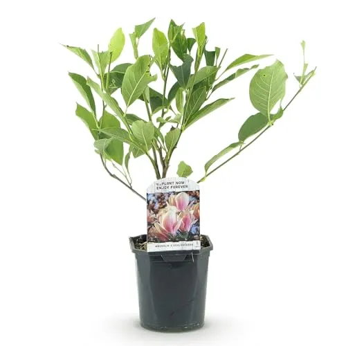 Produktbild GreenboutiQ