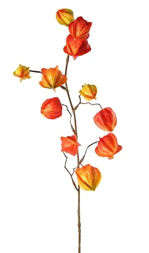 artplants.de Künstlicher Physalis Zweig PERSEI mit Früchten, orange, 80cm - Lampionblume deko