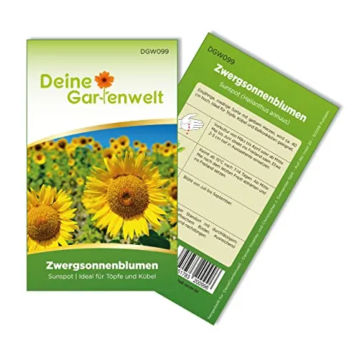 Zwergsonnenblumen Sunspot Samen - Helianthus annuus - Sonnenblumensamen - Blumensamen - Saatgut für 20 Pflanzen