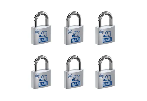 BASI Vorhängeschloss Vorhangschloss, (Spar-Set, 6-tlg), 6er Set, Breite 50 mm, Aluminium, 12 Schlüssel, gleichschließend