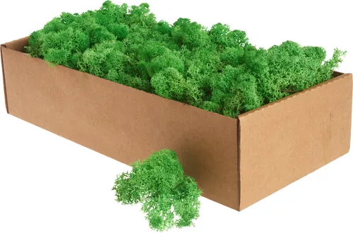 Othmar Decorations Islandmoos 400 g Dekomoos für kreative Bastelideen Maigrün