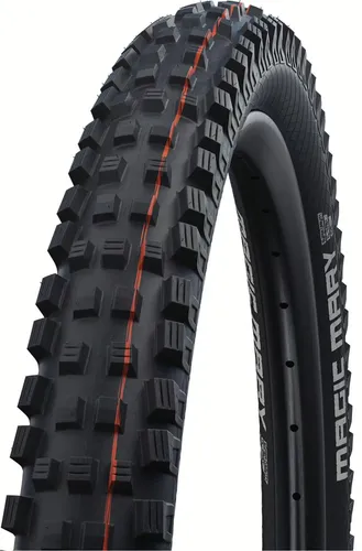 Schwalbe Magic Mary 29