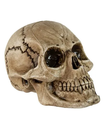 Horror-Shop Dekoobjekt Altertümlicher Morbid Relic Totenkopf 17 cm