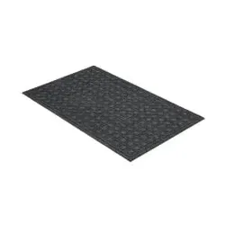 Fußmatten Grau von Astra