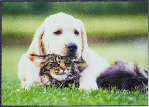 Fußmatten Grün von Andiamo