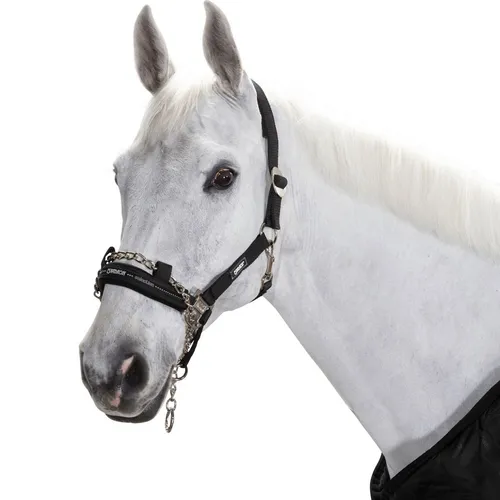 CONTROL Halfter inkl. Führkette in schwarz von Eskadron