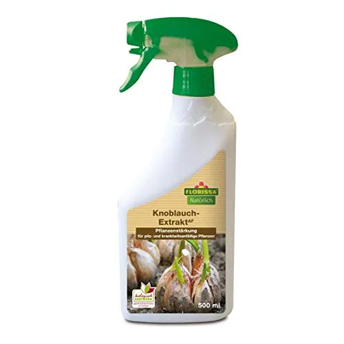 Florissa Knoblauch Extrakt 500 ml