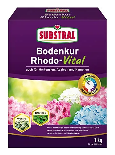 Substral Bodenkur Rhodo-Vital, 1 kg - für Rhododendren, Azaleen, Hortensien, Himbeeren, Preiselbeeren, Heidelbeeren, u.a.