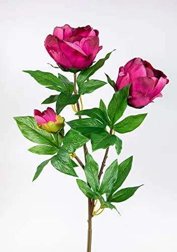Künstliche Pfingstrose Nature 68cm mit 3 Blüten Fuchsia GA – Realistische Kunstblume aus Textilfaser – Dekozweig für Vase & Strauß – Hochwertige Seidenblume wie echt