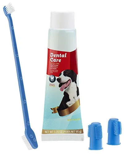 Sweetypet Hundezubehör: 4in1-Zahnpflege-Set für Hunde mit Zahnpasta, Zahnbürste, Fingerbürsten (Hundezahnbürste, Zahnreinigung Hund, Zahnbürsten)
