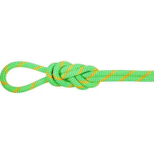Mammut 8.0 Alpine Eco Dry Rope - Halbseil 30 m grün - Kletterseil für alpine Touren, 30 m lang, komplett imprägniert und mit Mittelmarkierung – ideal für sicheres Alpinklettern. Entdecken Sie weitere Mammut Produkte bei Bergfreunde.de!