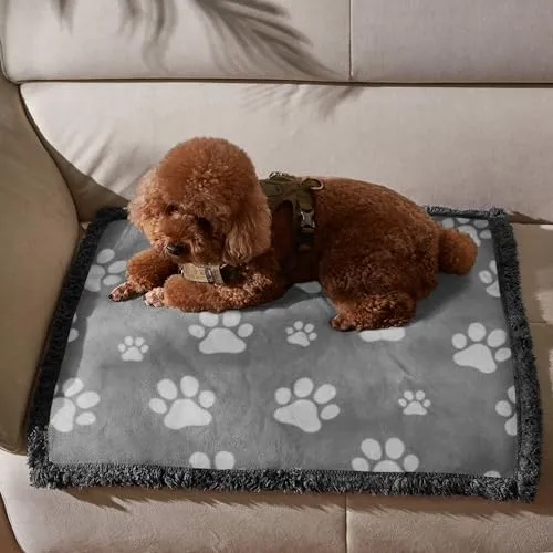 Pawsee Wasserdicht Hundedecke Katzendecken Waschbar, wasserdichte Decke für Unterwegs Hundesofa Schutzdecke Sofa Überwurf, Flauschig Hundedecke für Kleine Mittelgroße Hunde, Katzen, S 125 x 75cm