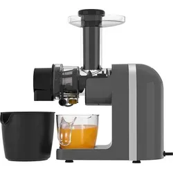 Slow Juicer Profi Entsafter mit Umkehrfunktion