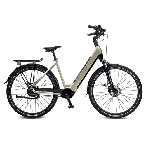 Rabeneick Comfort E-Bike Wave 51 Champagnergold