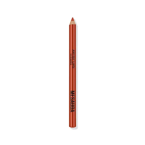 Artist Lips Pumpkin Mesauda 1,14g
